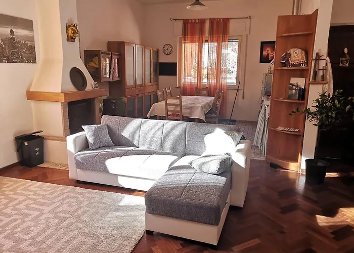 Big House House With Garden Next Station